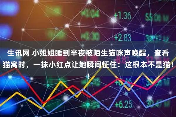 生讯网 小姐姐睡到半夜被陌生猫咪声唤醒，查看猫窝时，一抹小红点让她瞬间怔住：这根本不是猫！