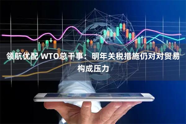 领航优配 WTO总干事：明年关税措施仍对对贸易构成压力