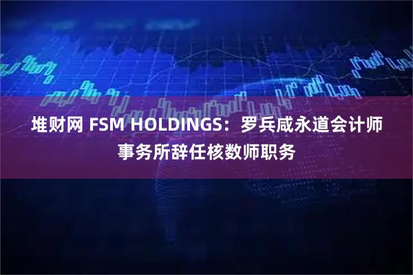 堆财网 FSM HOLDINGS:罗兵咸永道会计师事务所辞任核数师职务