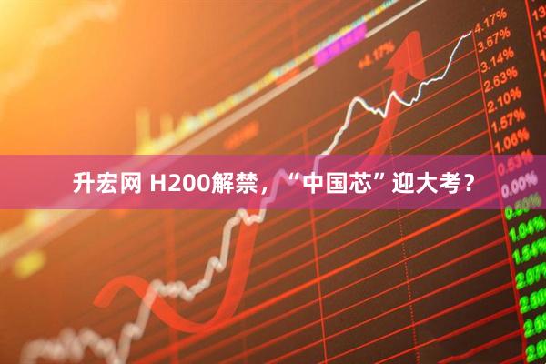 升宏网 H200解禁,“中国芯”迎大考?